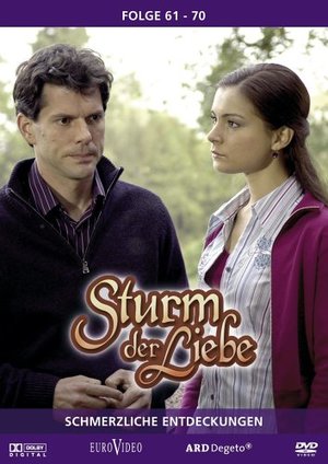 Сериал «Шторм любви» (2005 – ...)